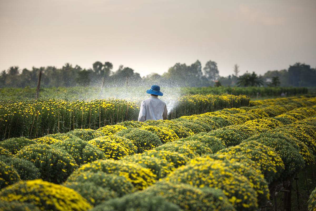 thuận lợi và khó khăn trong sản xuất nông nghiệp