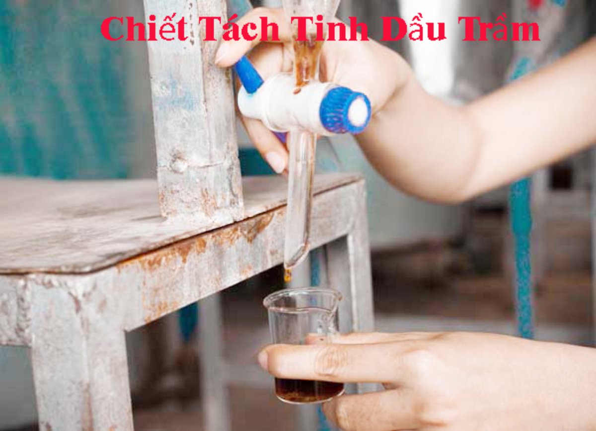 cách làm tinh dầu trầm hương