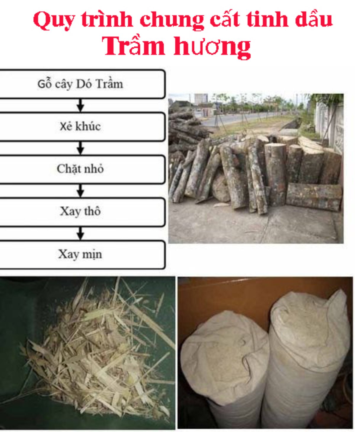 cách làm tinh dầu trầm hương