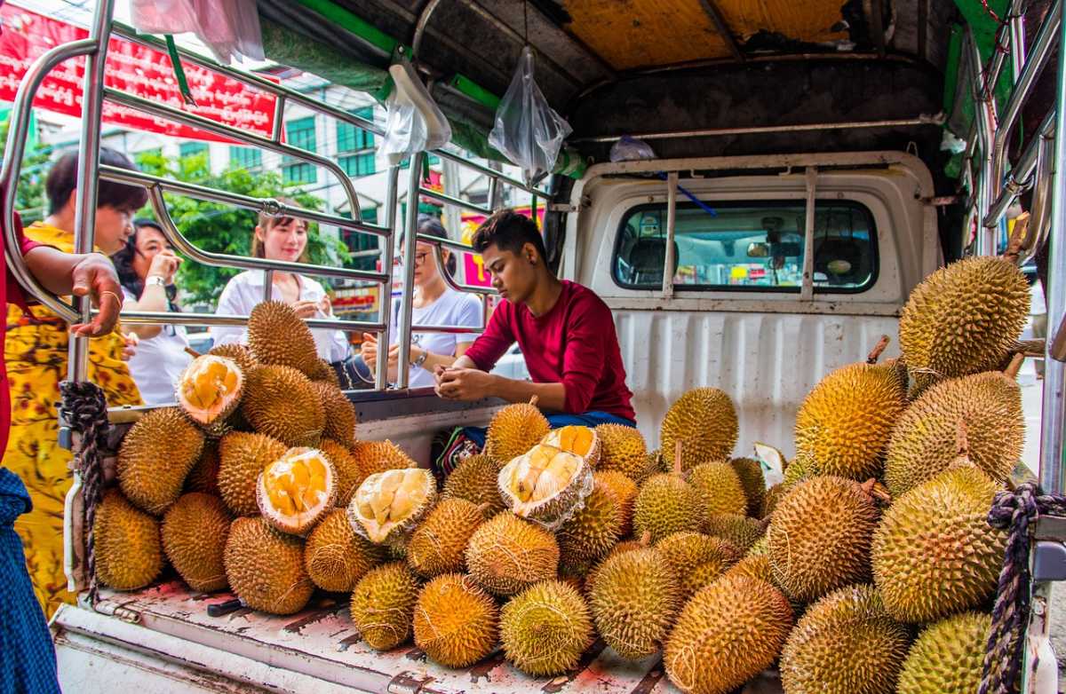 sầu riêng monthong