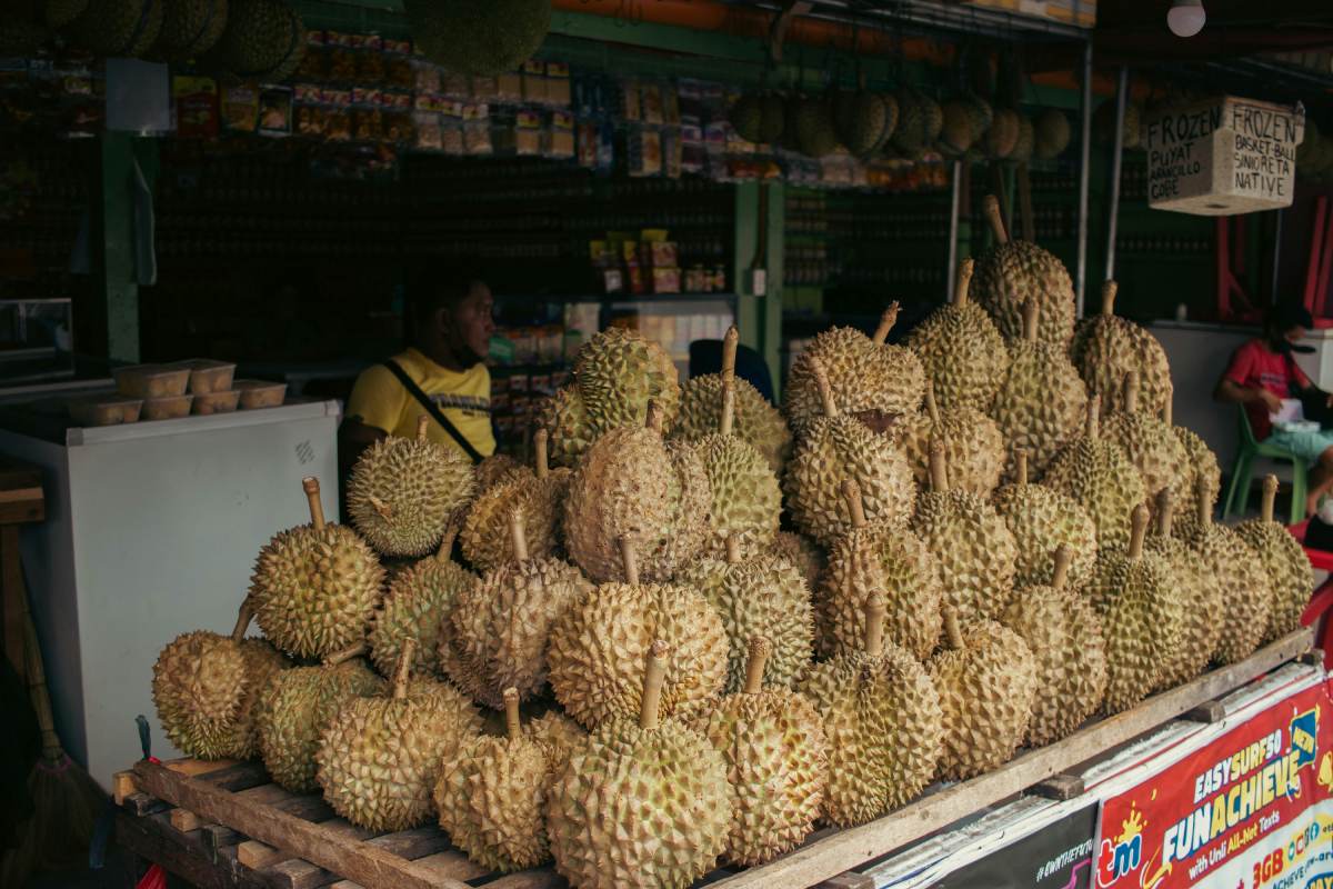 sầu riêng monthong