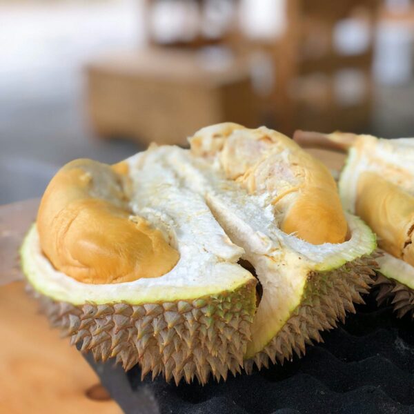 sầu riêng Musang King