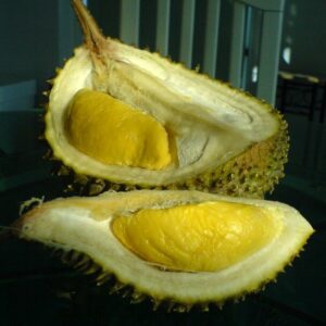 sầu riêng Musang King