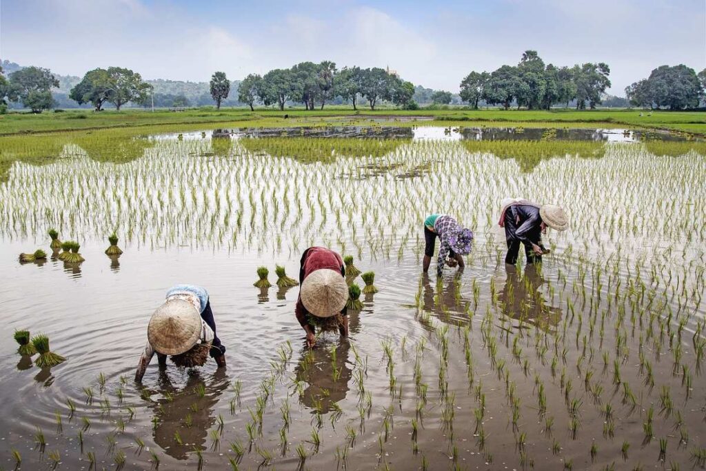 thuận lợi và khó khăn trong sản xuất nông nghiệp