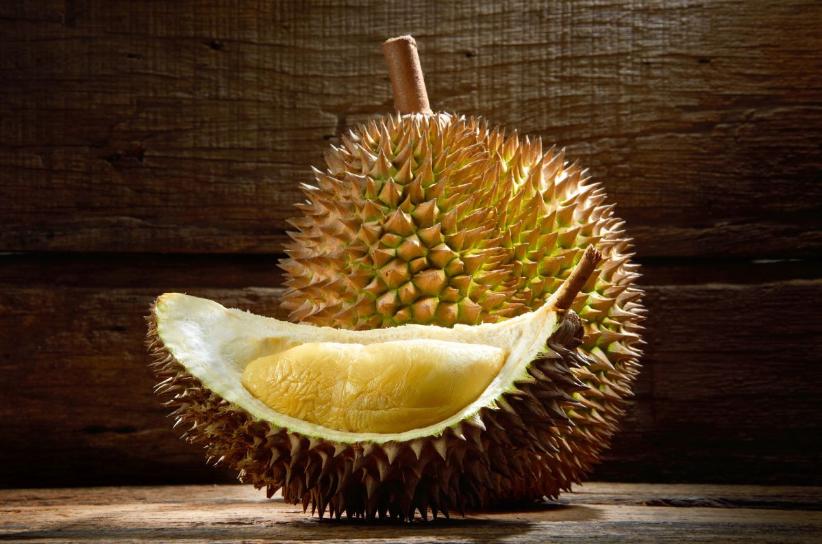 giá sầu riêng musang king