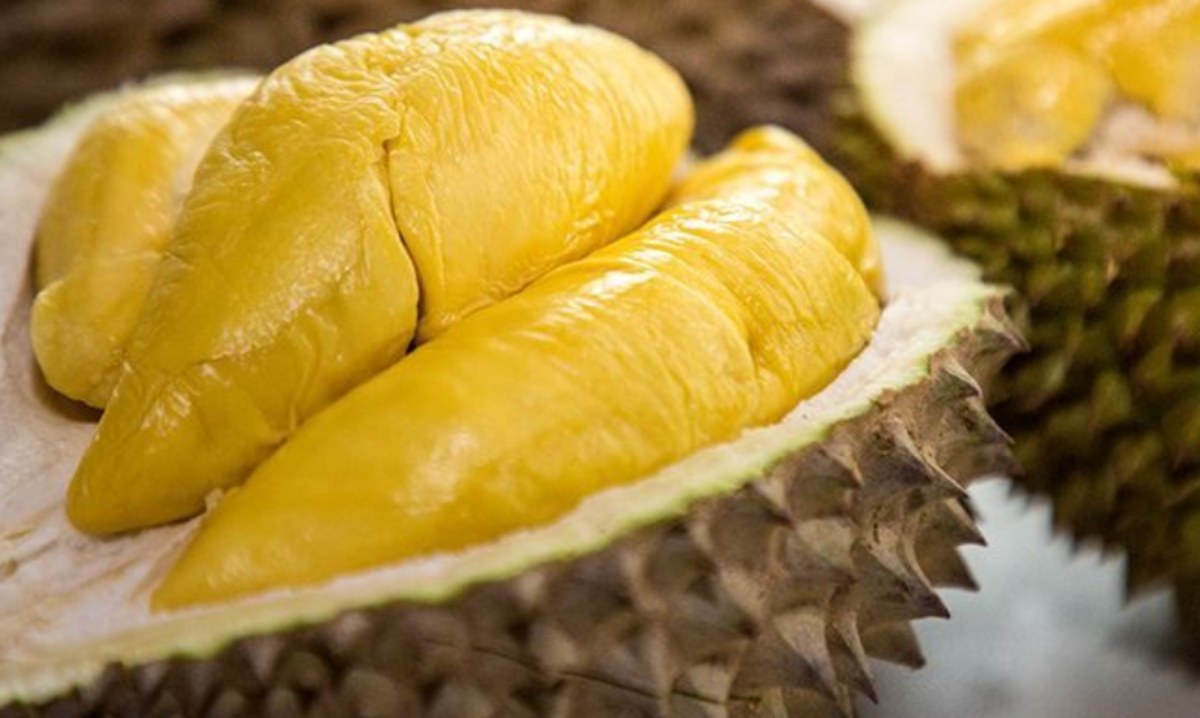 giá sầu riêng musang king
